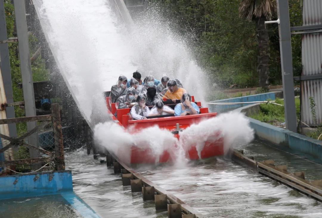 2021塘棲校區(qū)春游照集錦(圖17)