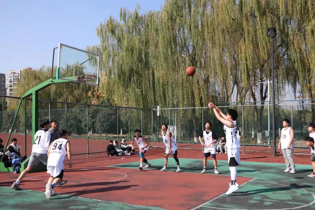塘棲籃球比賽(圖4)