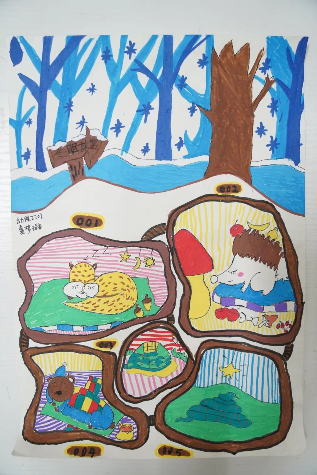 向陽而生 逐光而行 | 我校富陽校區(qū)幼兒保育專業(yè)優(yōu)秀作品展